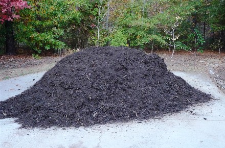 Web Shredded Mulch.jpg